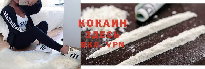 мега как войти  Бородино  Cocaine Боливия 