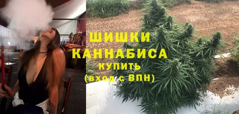 МЕГА tor  купить  сайты  Бородино  Марихуана Ganja 